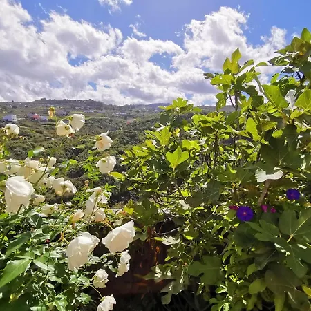 House Of Hearts Wunderschones, Kanarisches Haus Mit Garten, Vielen Terrassen Und Traumblick Ferienhaus Santa Maria de Guia de Gran Canaria